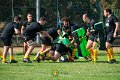 Rugby_Fiumicello-BassaBresciana_2023-10-08_dm_0096