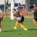 Rugby_Fiumicello-BassaBresciana_2023-10-08_dm_0331