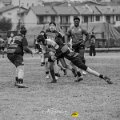 Rugby_Fiumicello-U14_2025-01-25_dm_0063