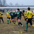 Rugby_Fiumicello-U14_2025-01-25_dm_0092