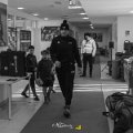 Zebre_Parma-Benetton_2024-12-28_dm_0094
