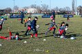 Zebre_Parma-Benetton_2024-12-28_dm_0371