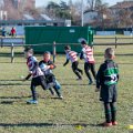 Zebre_Parma-Benetton_2024-12-28_dm_0376