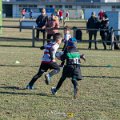Zebre_Parma-Benetton_2024-12-28_dm_0378