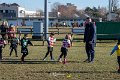 Zebre_Parma-Benetton_2024-12-28_dm_0401