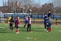 Zebre_Parma-Benetton_2024-12-28_dm_0423