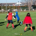 Zebre_Parma-Benetton_2024-12-28_dm_0435