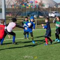 Zebre_Parma-Benetton_2024-12-28_dm_0438