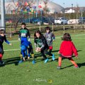 Zebre_Parma-Benetton_2024-12-28_dm_0442