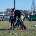 Zebre_Parma-Benetton_2024-12-28_dm_0486