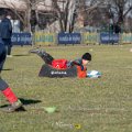 Zebre_Parma-Benetton_2024-12-28_dm_0492