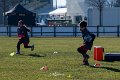 Zebre_Parma-Benetton_2024-12-28_dm_0560