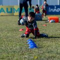 Zebre_Parma-Benetton_2024-12-28_dm_0565