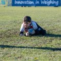 Zebre_Parma-Benetton_2024-12-28_dm_0720
