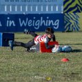 Zebre_Parma-Benetton_2024-12-28_dm_0733