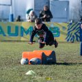 Zebre_Parma-Benetton_2024-12-28_dm_0735
