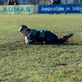 Zebre_Parma-Benetton_2024-12-28_dm_0747