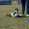 Zebre_Parma-Benetton_2024-12-28_dm_0787