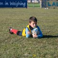 Zebre_Parma-Benetton_2024-12-28_dm_0790
