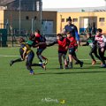 Zebre_Parma-Benetton_2024-12-28_dm_0839