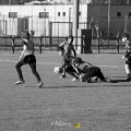 Zebre_Parma-Benetton_2024-12-28_dm_0842