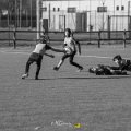 Zebre_Parma-Benetton_2024-12-28_dm_0843