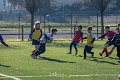 Zebre_Parma-Benetton_2024-12-28_dm_0848
