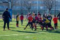 Zebre_Parma-Benetton_2024-12-28_dm_0856