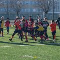 Zebre_Parma-Benetton_2024-12-28_dm_0857