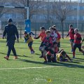 Zebre_Parma-Benetton_2024-12-28_dm_0859