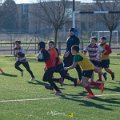 Zebre_Parma-Benetton_2024-12-28_dm_0862