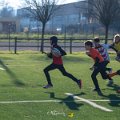 Zebre_Parma-Benetton_2024-12-28_dm_0864