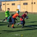Zebre_Parma-Benetton_2024-12-28_dm_0873
