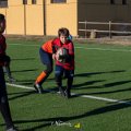 Zebre_Parma-Benetton_2024-12-28_dm_0874