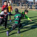 Zebre_Parma-Benetton_2024-12-28_dm_0876