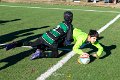 Zebre_Parma-Benetton_2024-12-28_dm_0878