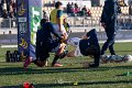 Zebre_Parma-Benetton_2024-12-28_dm_1248