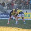 Zebre_Parma-Benetton_2024-12-28_dm_1322