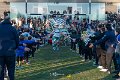 Zebre_Parma-Benetton_2024-12-28_dm_1391