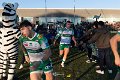 Zebre_Parma-Benetton_2024-12-28_dm_1403