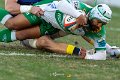 Zebre_Parma-Benetton_2024-12-28_dm_1493
