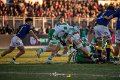 Zebre_Parma-Benetton_2024-12-28_dm_1519