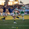 Zebre_Parma-Benetton_2024-12-28_dm_1521