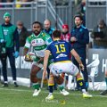 Zebre_Parma-Benetton_2024-12-28_dm_1528