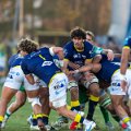Zebre_Parma-Benetton_2024-12-28_dm_1545