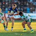 Zebre_Parma-Benetton_2024-12-28_dm_1549