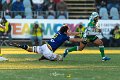 Zebre_Parma-Benetton_2024-12-28_dm_1551