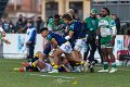 Zebre_Parma-Benetton_2024-12-28_dm_1570