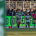 Zebre_Parma-Benetton_2024-12-28_dm_1595