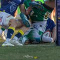 Zebre_Parma-Benetton_2024-12-28_dm_1598